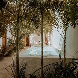 Apartamento & Madre Self-check In, Isla Holbox